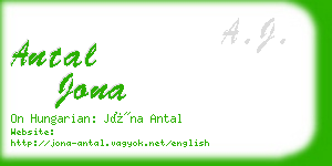 antal jona business card